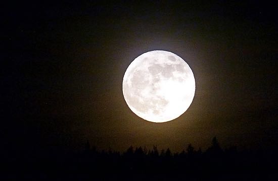 “As if you were on fire within, the moon lives in the lining of your skin.”