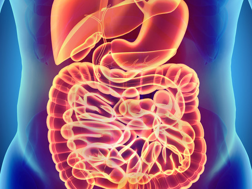 OptimalSelf MD GI Track