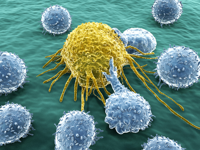 OptimalSelf MD Immune