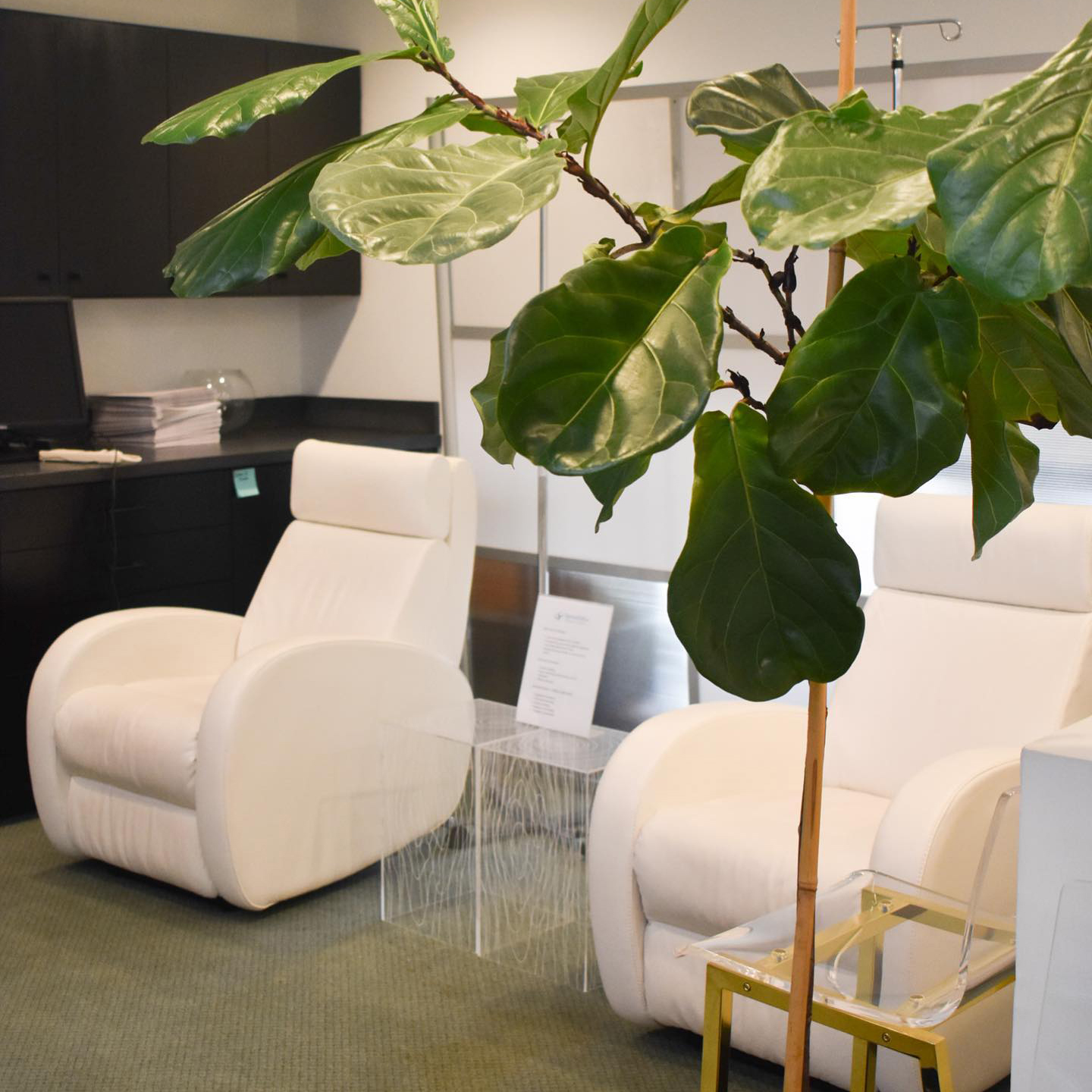 Wellness, Aesthetics & Plastic Surgery Practice in Greenville, SC